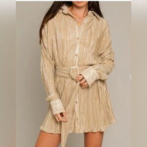 Gold pleated dress